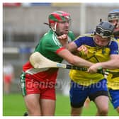 Picture Credit: Denis Byrne