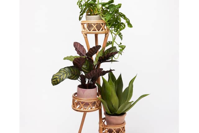 6. Bali Natural Rattan Triple Plant Stand, £125, Oliver Bonas