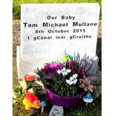 Gravestone of Tom Conway Mullane whose short life will be remembered on a new website to honour those buried in  St Patrick’s Graveyard, Patrickswell