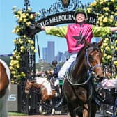 Robbie Dolan on the back of Knight's Choice after winning the Lexus Melbourne Cup at Flemington Racecourse on November 05, 2024 in Flemington, Photo by Reg Ryan Racing