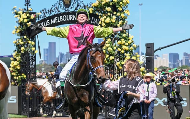 Robbie Dolan on the back of Knight's Choice after winning the Lexus Melbourne Cup at Flemington Racecourse on November 05, 2024 in Flemington, Photo by Reg Ryan Racing