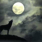 Tipperary farmers need to be wary of wolves in sheep's clothing