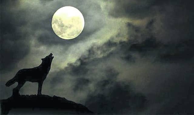 Tipperary farmers need to be wary of wolves in sheep's clothing