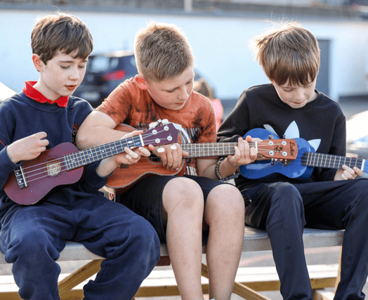 Young Laois lads during Crinniú na nÓg at the Laois Music Centre. Pic: Alf Harvey