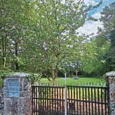 Cherryfield Famine Graveyard