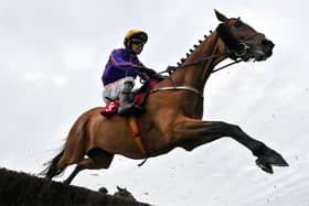 Authorized Art, with Danny Mullins up, during the Tote Galway Plate during day three of the Galway Races Summer Festival at Ballybrit Racecourse in Galway in 2024, Photo by Seb Daly/Sportsfile
