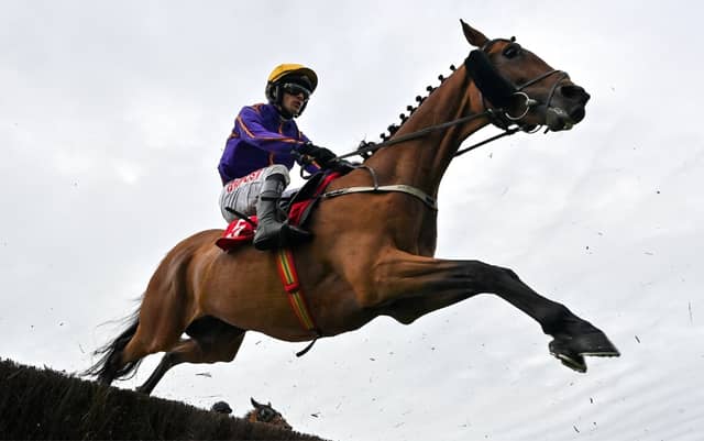Authorized Art, with Danny Mullins up, during the Tote Galway Plate during day three of the Galway Races Summer Festival at Ballybrit Racecourse in Galway in 2024, Photo by Seb Daly/Sportsfile