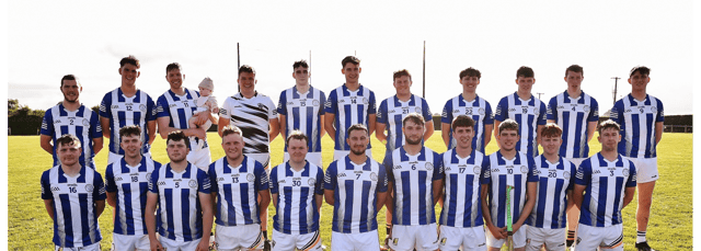 Tullogher-Rosbercon, winners of the Aylward Cup. Picture: Willie Dempsey