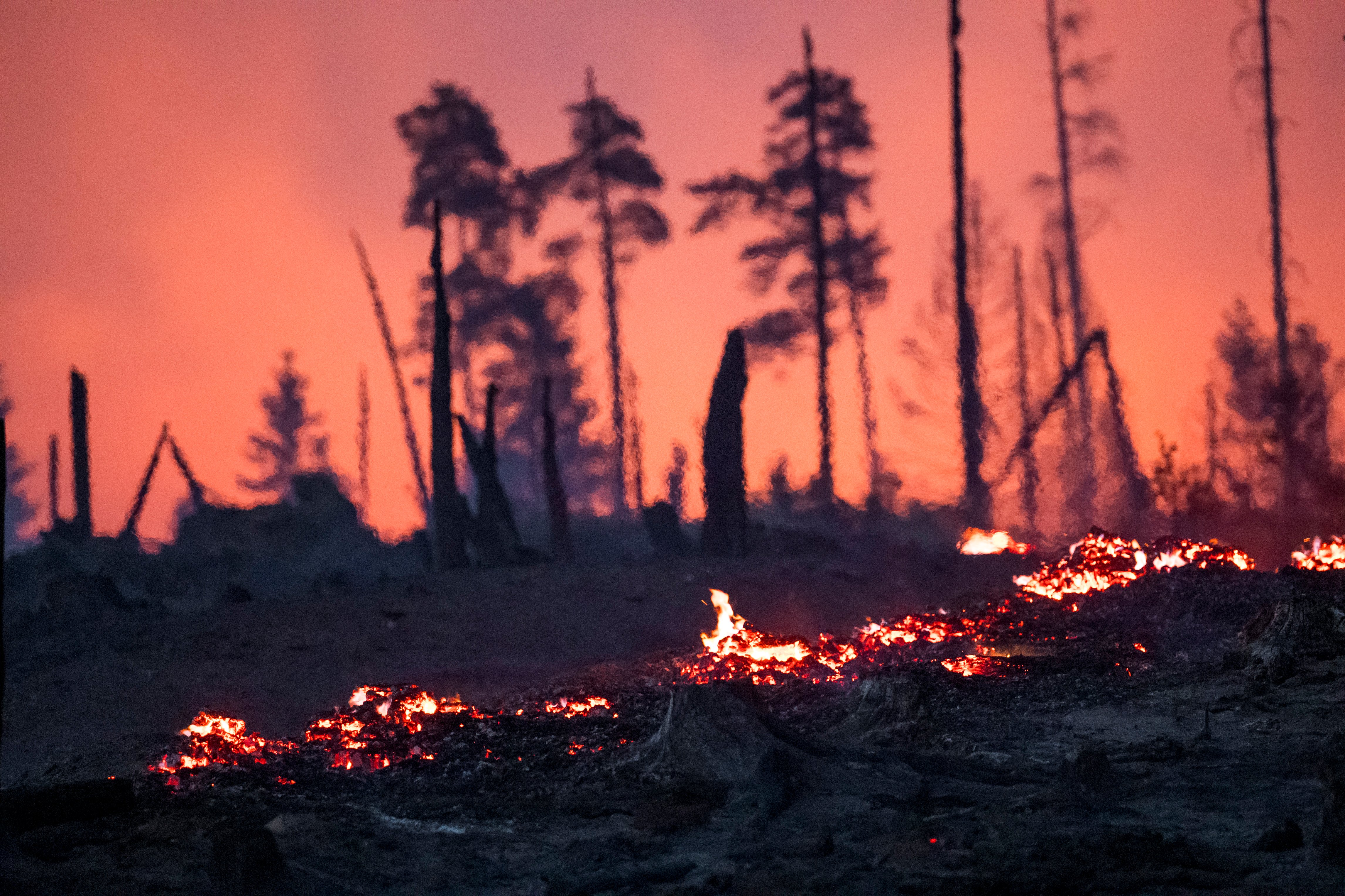 Firefighters injured tackling wildfires in eastern Germany