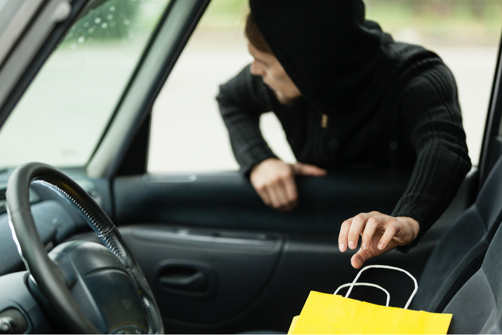 Laois Offaly Gardaí issue advice following weekend thefts