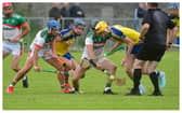 Picture Credit: Denis Byrne