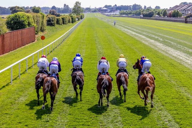 BREAKING: Kildare racecourse sells land for houses in multi-million euro deal