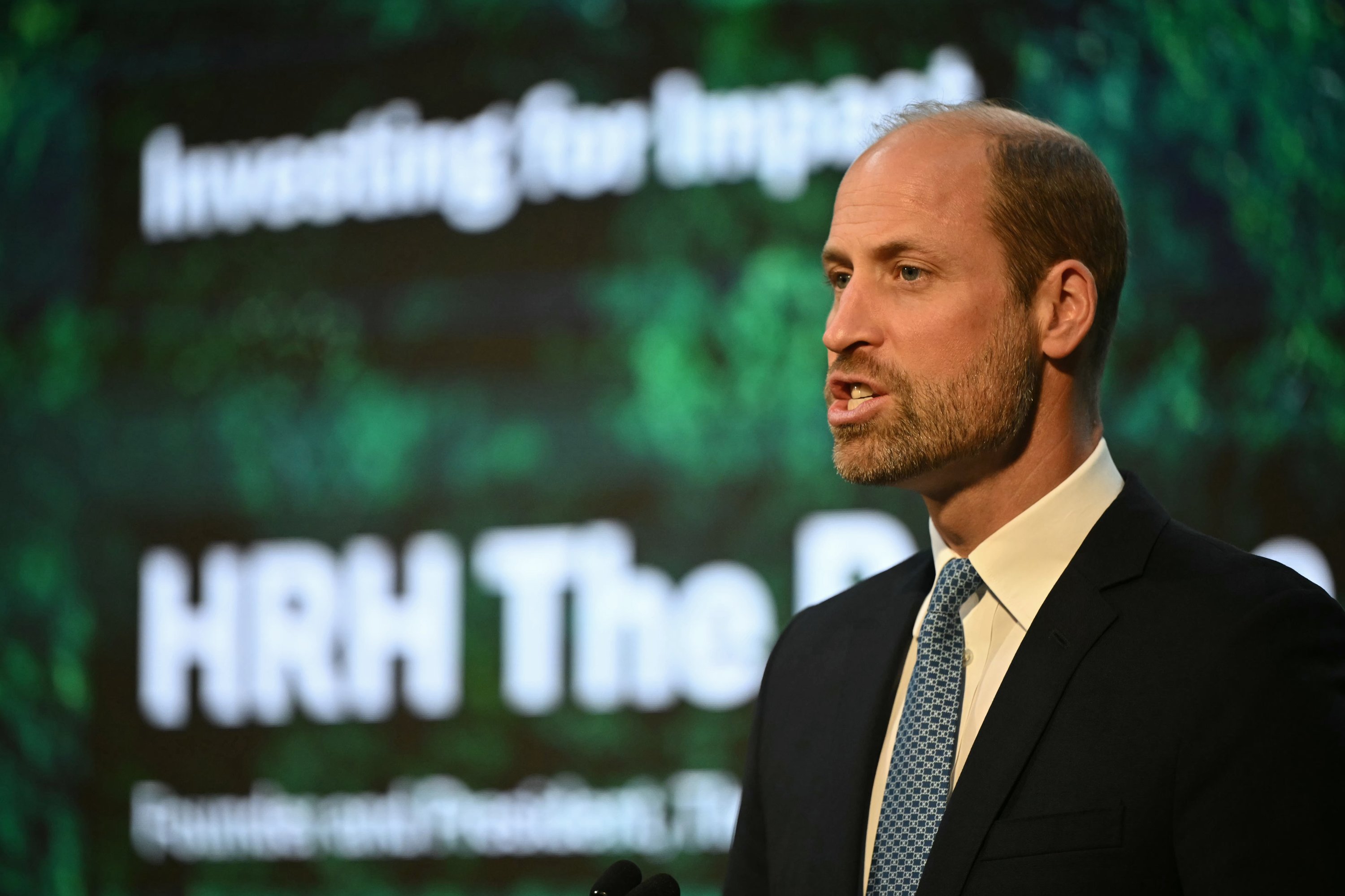 William urges investment in environmental projects