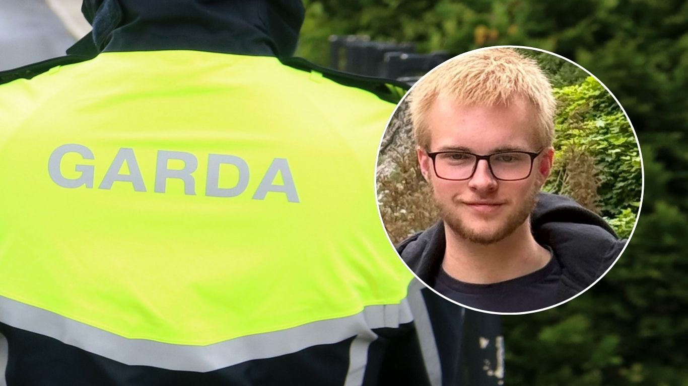 ALERT: Gardai appeal for help in locating boy who vanished from his ...