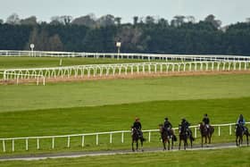 The Curragh racecourse gallops, Photo by Seb Daly/Sportsfile