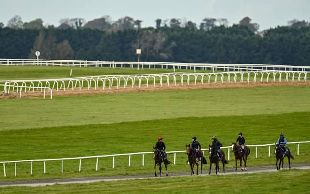 The Curragh racecourse gallops, Photo by Seb Daly/Sportsfile
