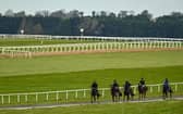 The Curragh racecourse gallops, Photo by Seb Daly/Sportsfile