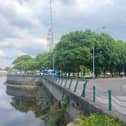 There are more than 100 trees in the Arthur’s Quay Park area