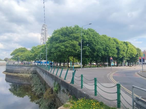 There are more than 100 trees in the Arthur’s Quay Park area