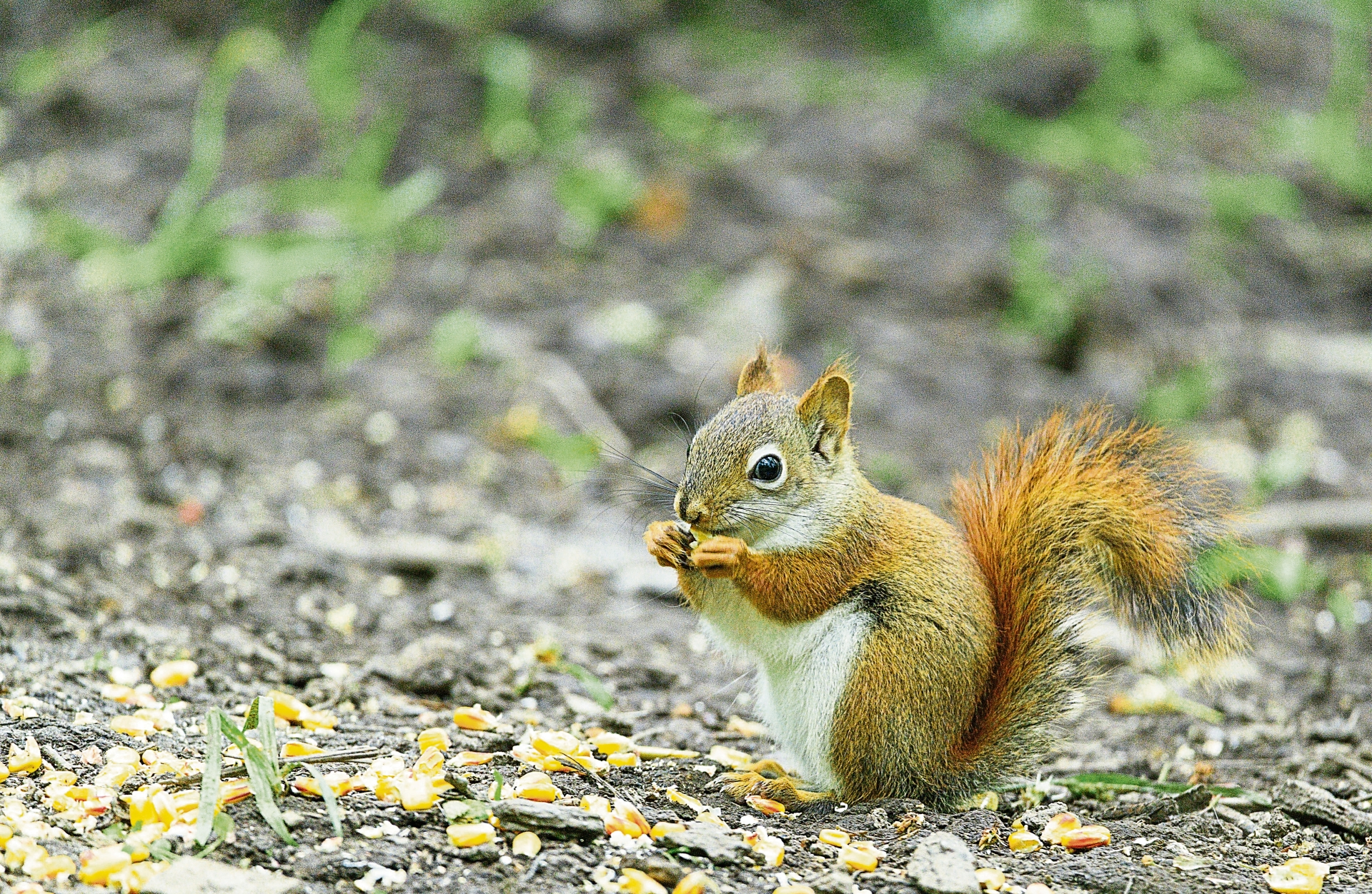 People of Limerick urged to calculate their 'monthly nut' to aid ...
