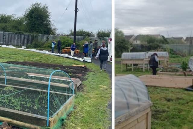 Cllr Dwane Stanley said St Brigid's Place could follow in the footsteps of O'Moore Place's allotment gardens, built recently with the help of Laois Partnership funding.