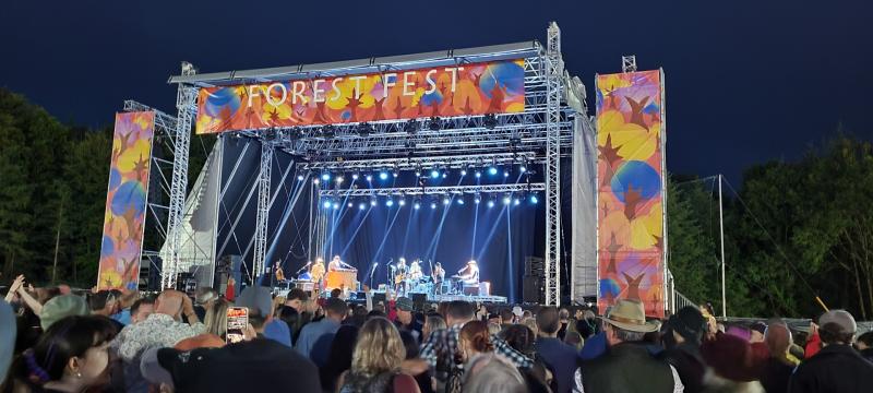 Pictured: File photo of Emo's Forest Fest