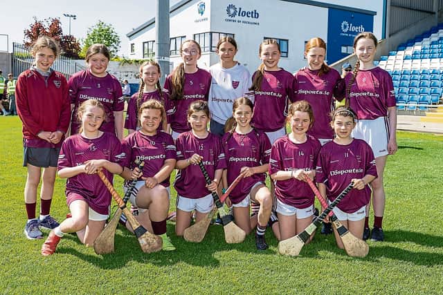 But the drama wasn't over as Sinead Fitzpatrick drew Ballinakill level again with her fifth goal. However, fittingly, Jones proved the winner with her late goal to claim glory for Killadooley. TEAMS AND SCORERS BELOW PICTURE.