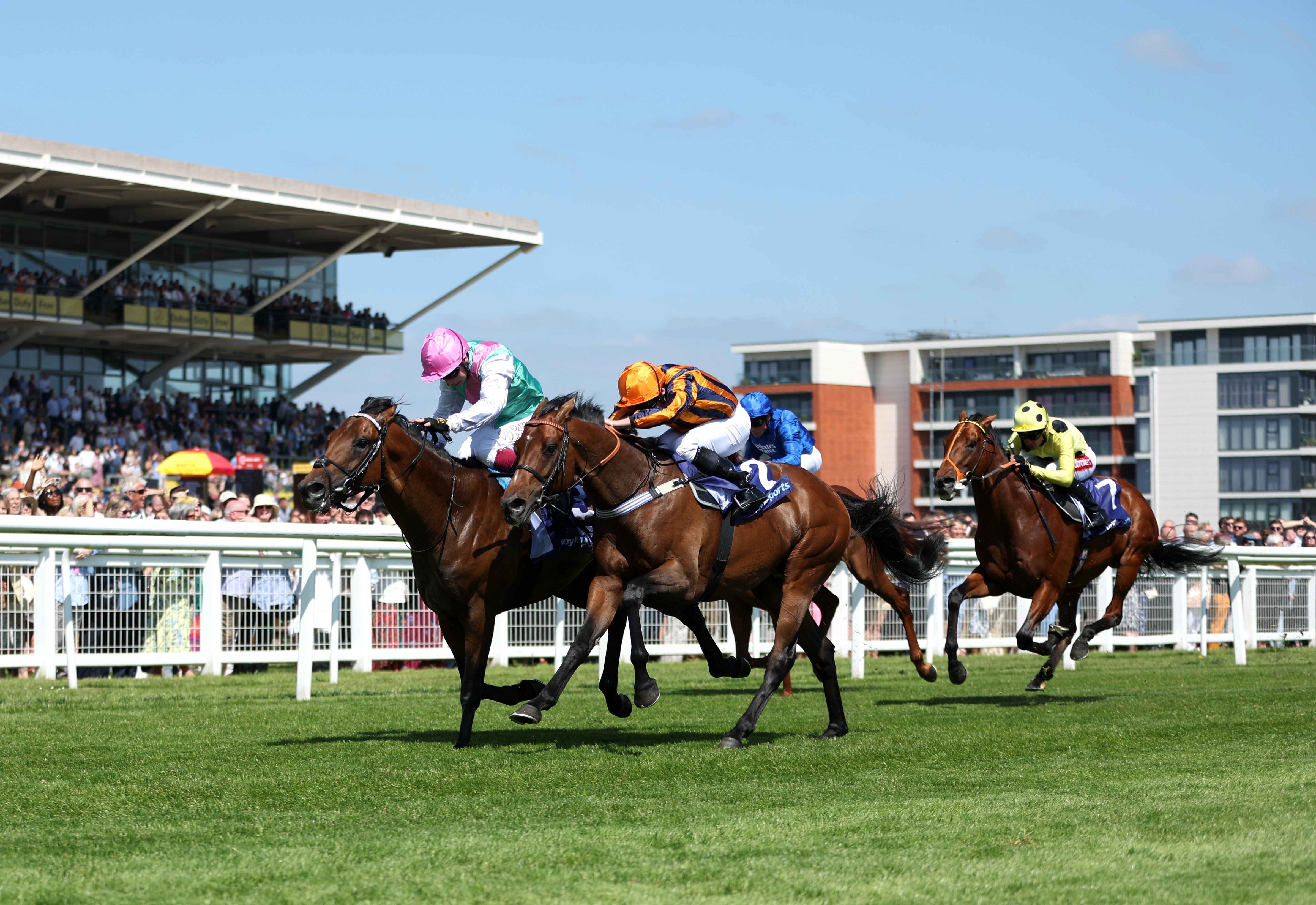 Teal relishing Royal Ascot rematch for Dancing Gemini