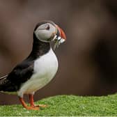 Line-up of events announced as National Biodiversity Week 2025 kicks off in Clare