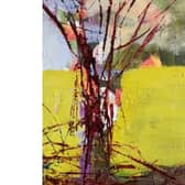 Shaped by Seasons is a project that will be held in Tipperray Town during Bealtaine