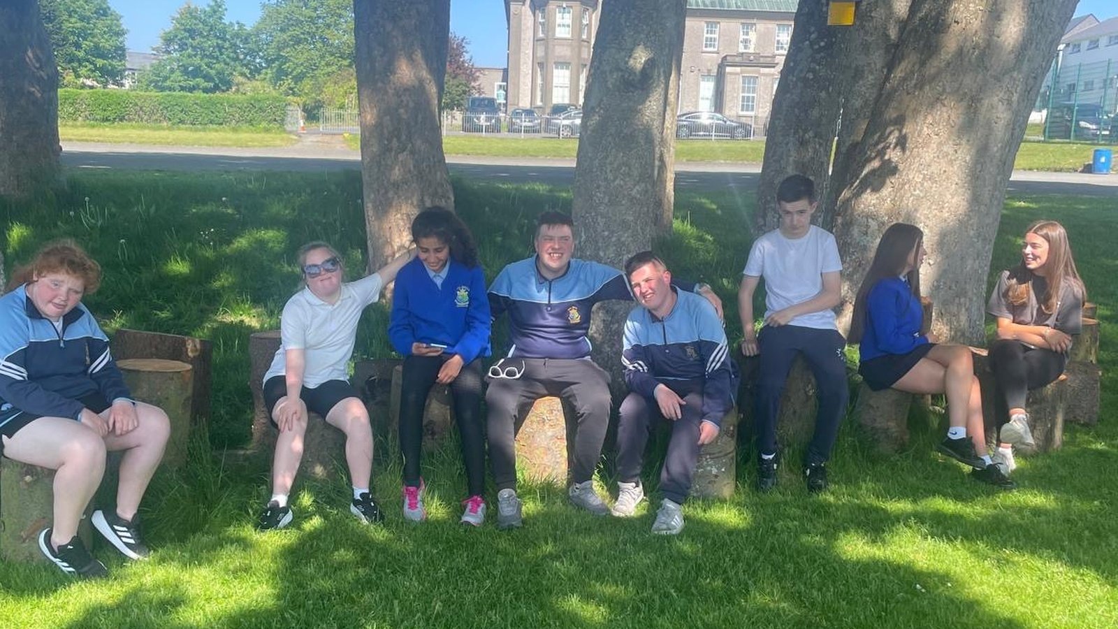 Storm-felled trees given new lease of life in outdoor classroom