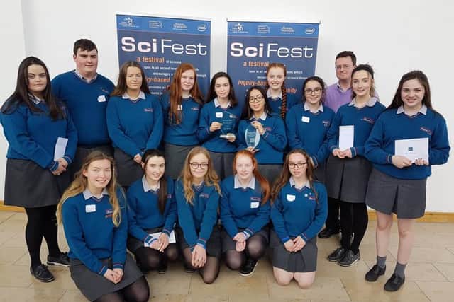 Students excel at Laois school's annual science fair