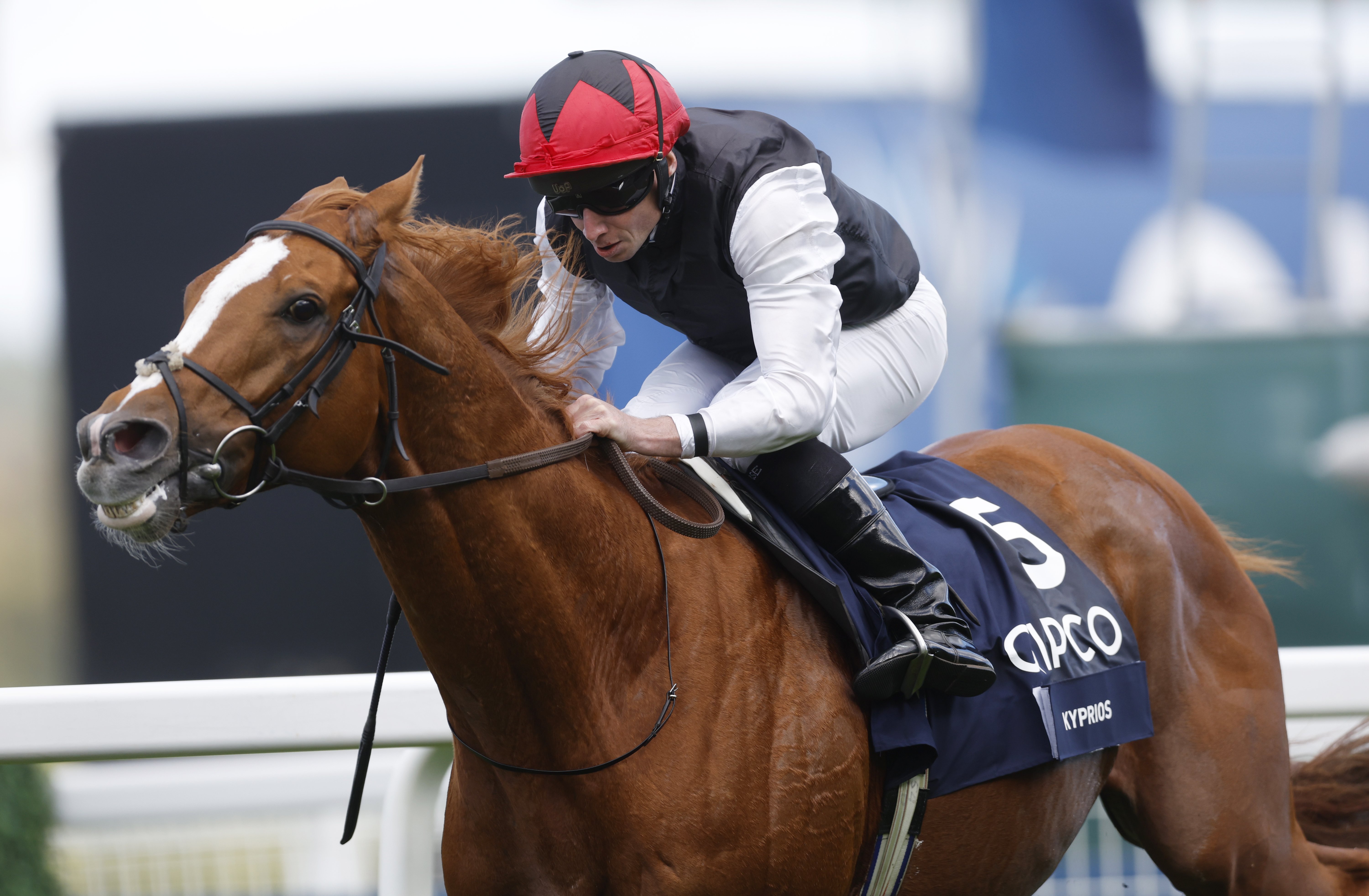 Kyprios seeking Saval Beg hat-trick