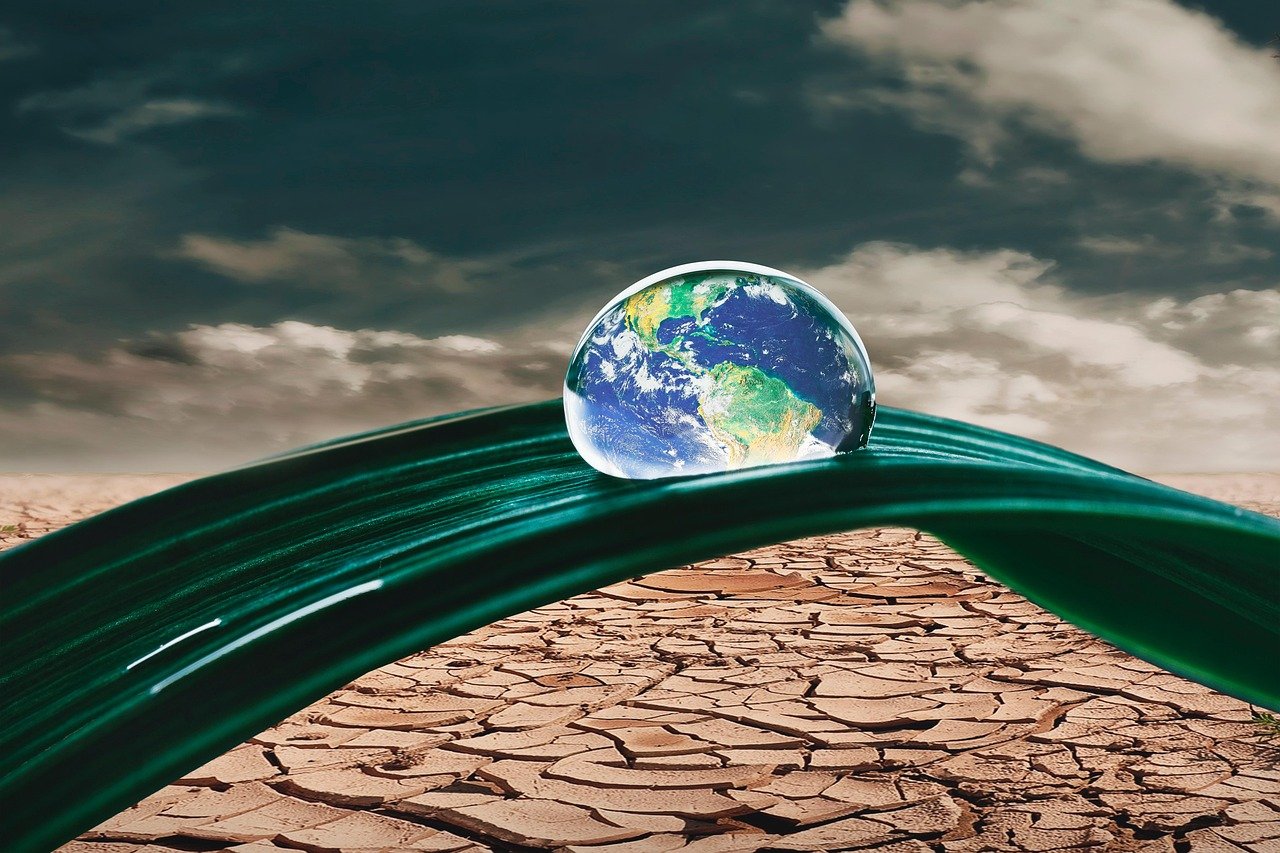 Climate change Latest News | Ireland Live