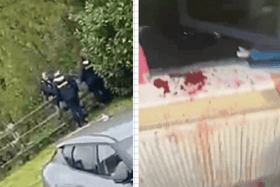 Gardai carrying out searches in Kilmallock and a still from a video taken in the house in Kilfinane showing the bloody aftermath