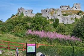 The Rock of Dunamase in Laois