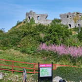 Rock of Dunamaise in Laois.