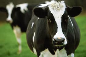 Tipperary farming: Glanbia to pay members 33.5cpl  for December milk
