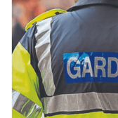 Gardaí are appealing for witnesses to this incident