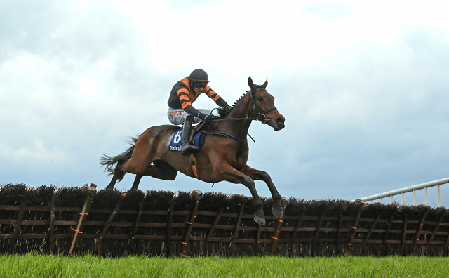 Nick Rockett at Fairyhouse in 2023, Photo: Sportsfile