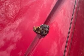 Warning in Kildare after dog poo 'launched' at car in horrifying incident