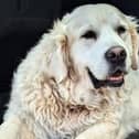 Rudy will be fondly remembered by all those at Lyrath Estate / PICTURE: Lyrath Estate