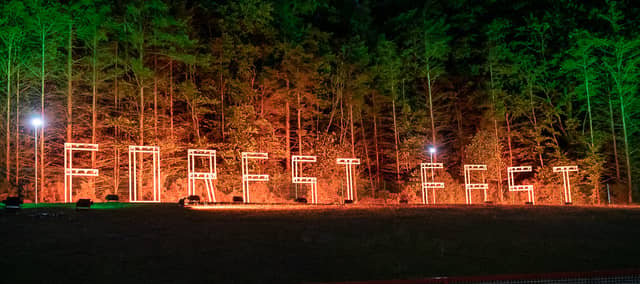 Forest Fest takes place on the edge of Emo Court in Laois.