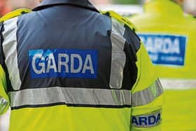 Gardai at Mayorstone are investigating the theft