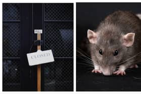 'Live rodents and dead birds in food prep areas' - Closure orders served on over 10 food businesses