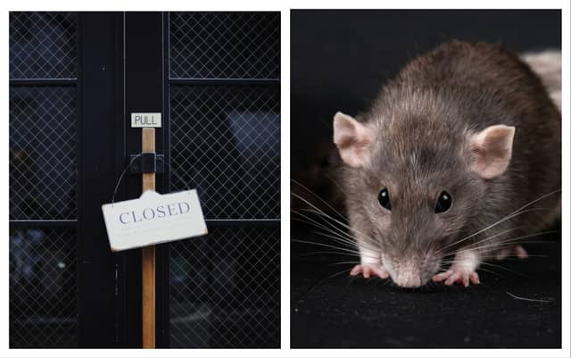 'Live rodents and dead birds in food prep areas' - Closure orders served on over 10 food businesses
