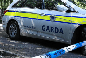 Update | Gardaí complete Ballinagh search and appeal for dashcam footage in Kevin Lunney assault investigation