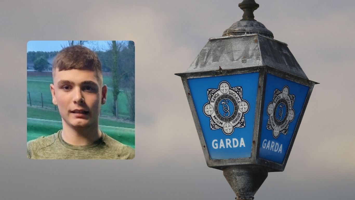 ALERT: Gardai in urgent appeal to locate boy, 17, who may have ...