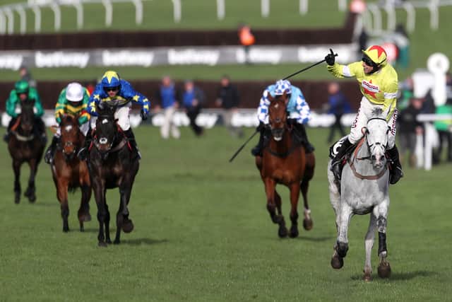 3) POLITOLOGUE (Paul Nicholls)