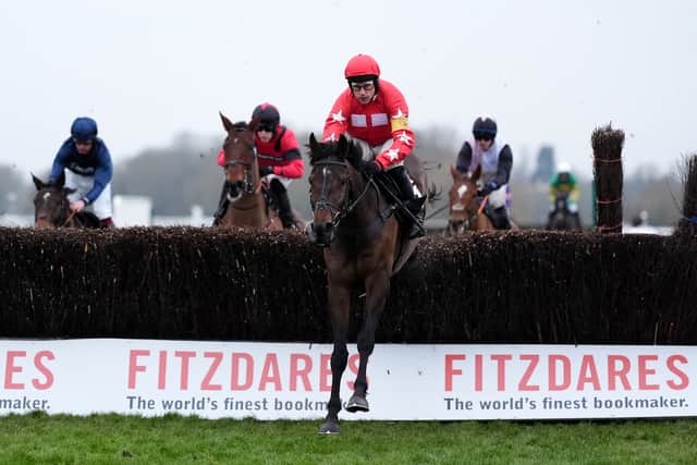 5) PROTEKTORAT (Dan Skelton)